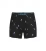 Боксерки Icebreaker Merino 150 Anatomica Boxers Ski Day Winter 2025