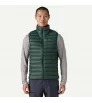 Patagonia Down Sweater Vest M's