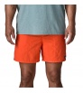 Шорти Patagonia Baggies 5